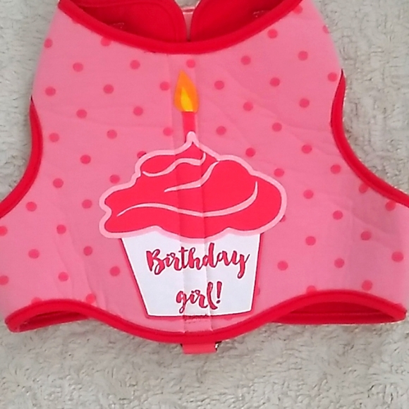 Birthday Girl harness - Picture 3 of 6